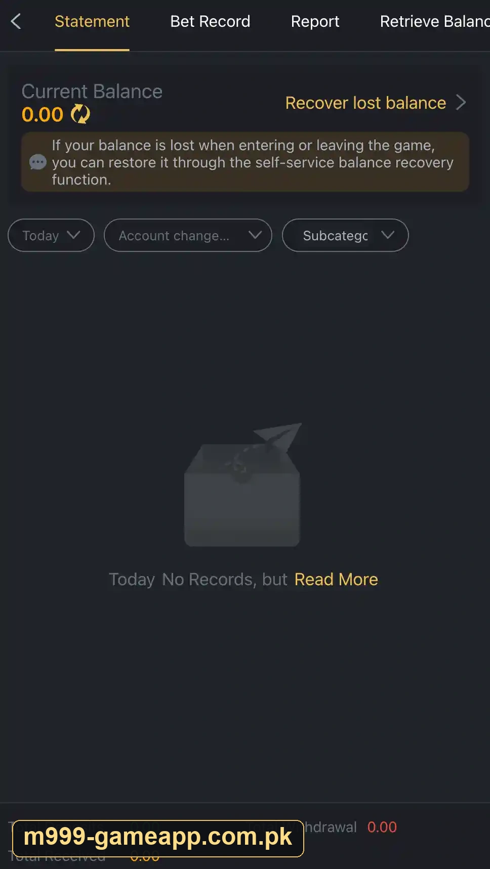 M999 statement and records screen